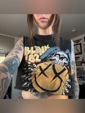 blink 182 crop